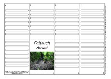 Faltbuch-Amsel-L-3.pdf
